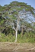 Canoe journey down the rivers of the Madre de Dios department in the Manu reserve